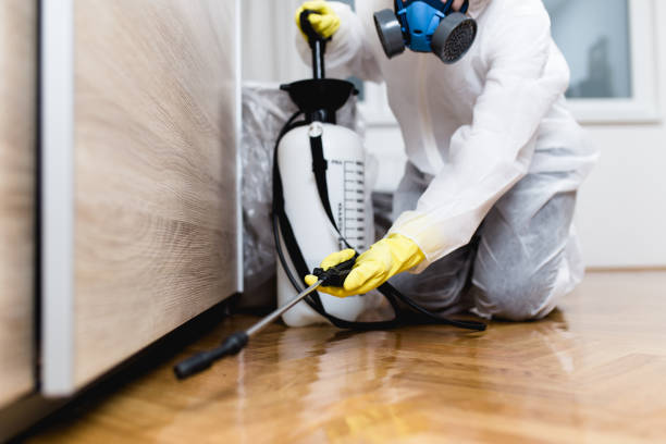 Best Residential Pest Control  in Hillcrest Heights, MD