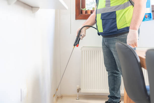 Reliable Hillcrest Heights, MD Pest Control Solutions