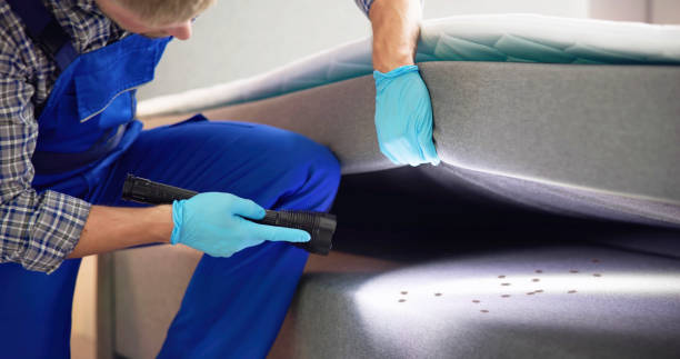 Best Cockroach Control Services  in Hillcrest Heights, MD