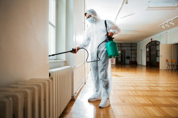 Best Rat Extermination Near Me  in Hillcrest Heights, MD