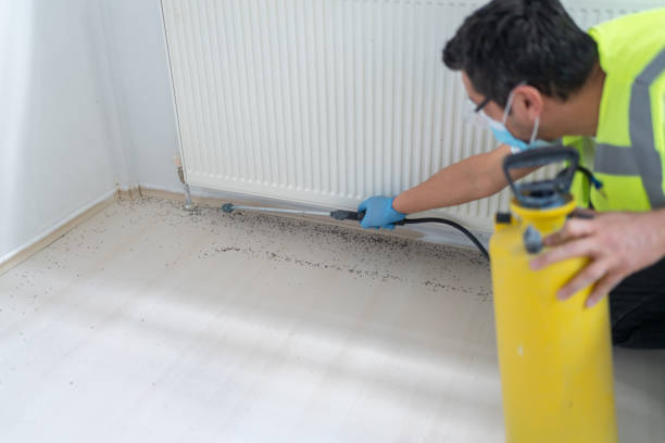 Best Best Pest Control Near Me  in Hillcrest Heights, MD